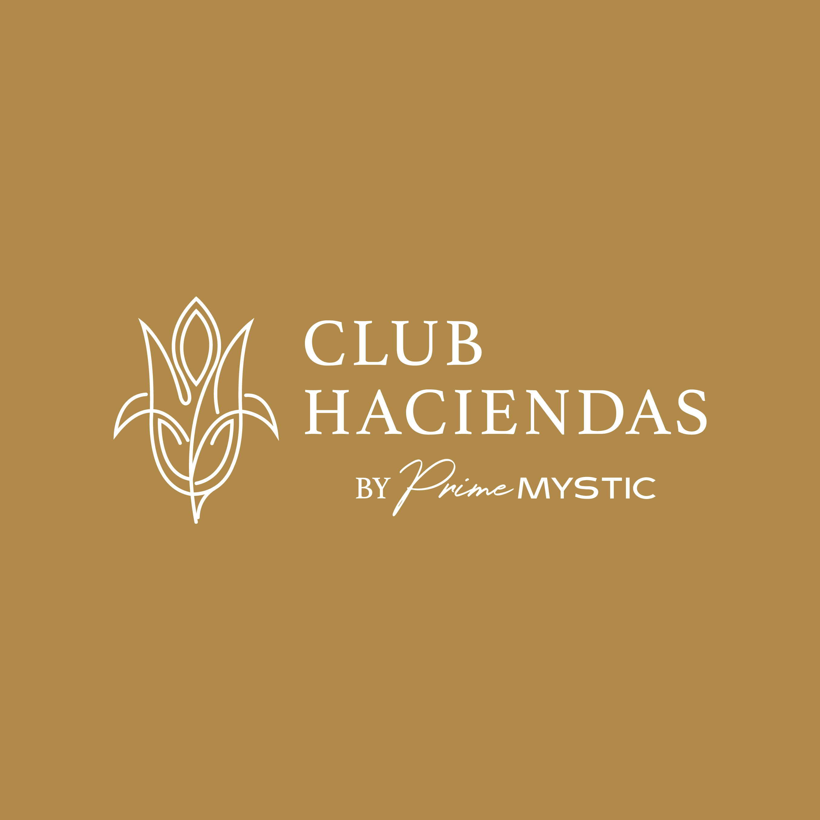 Club Haciendas